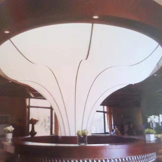 Pillar Translucent Image